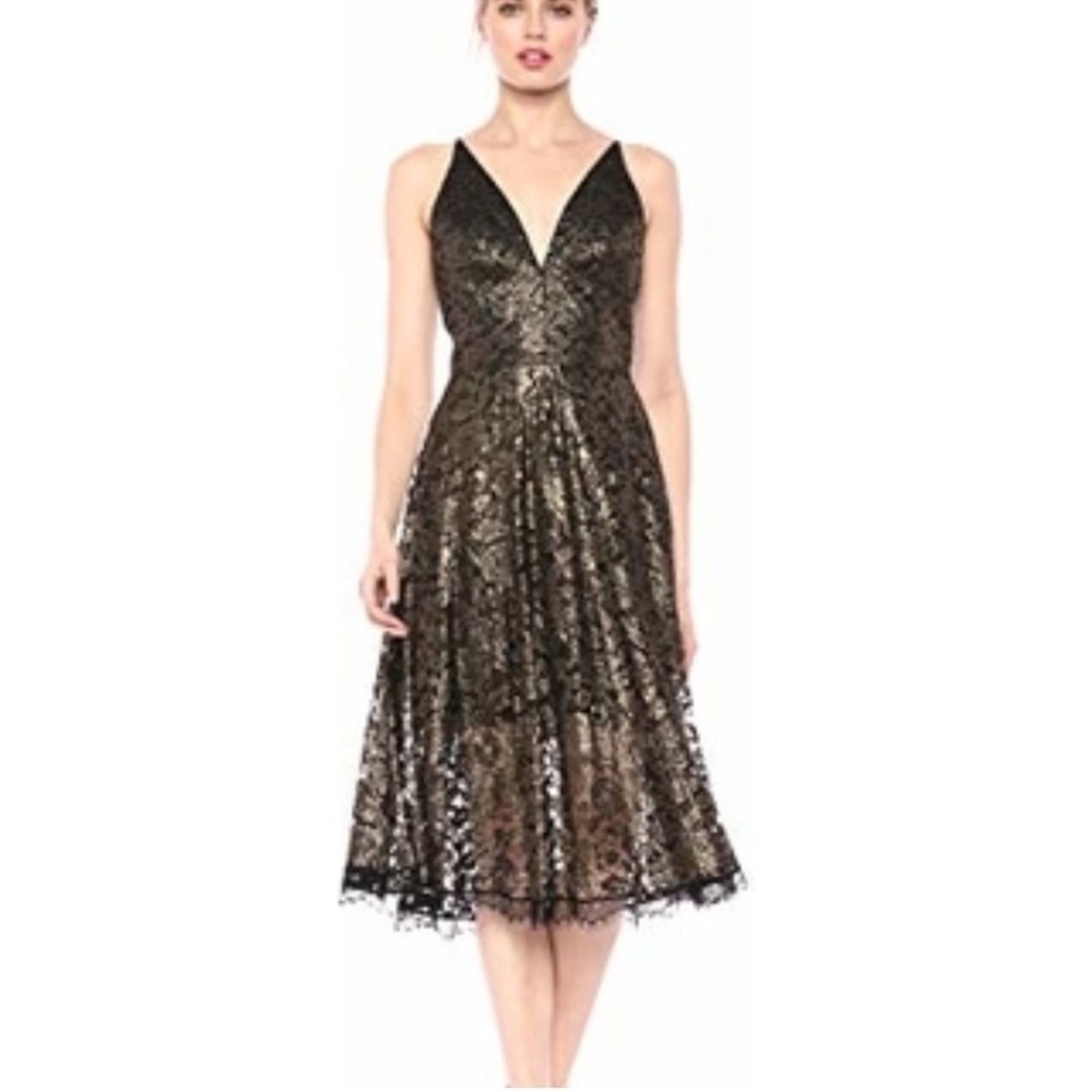 Dress the Population Ophilia Sleeveless Lace Fit & Flare Dress